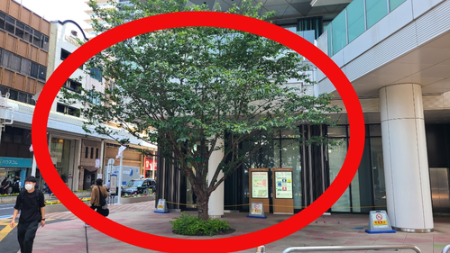 スピリチュアルお茶会｜小岩駅