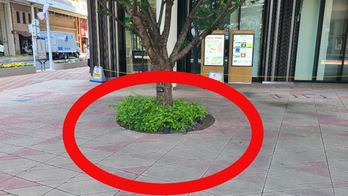 スピリチュアルお茶会｜小岩駅