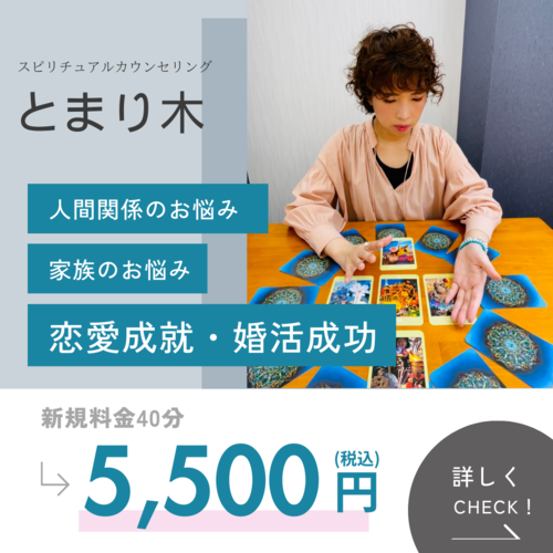 銀座・新橋で当たると人気の占い｜朔先生